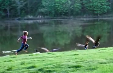 jonah chasing geese