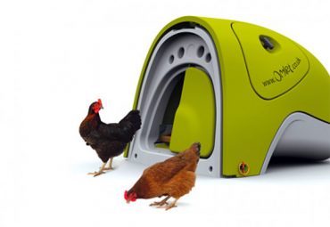 Omlet Eglu Urban Chicken Coop