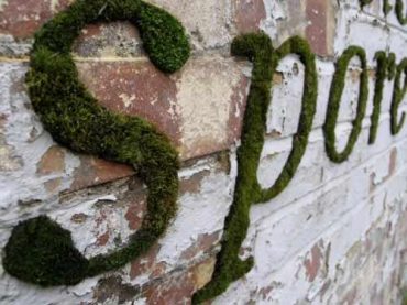 Projects: Moss Graffiti