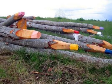 Color Pencil Trees