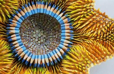 Pencil Sculptures