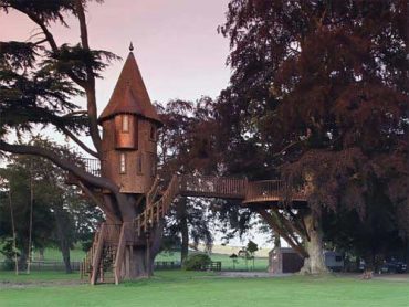 Amazon Tree Houses