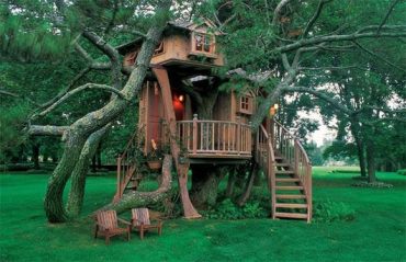 Treehouses of the World