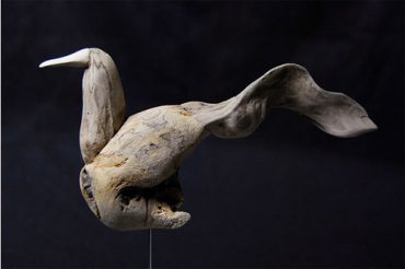 Driftwood Birds