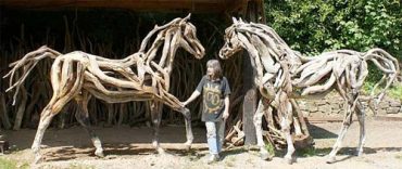 Driftwood Sculptures