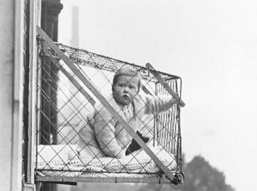 Baby Window Cage