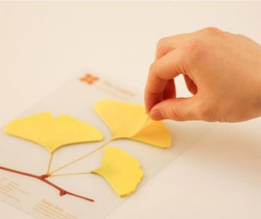 leaf-it ginko