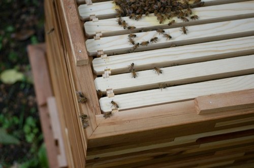 Etsy Cedar Strip Custom Beehive