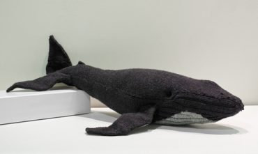 humpback whale knitting pattern