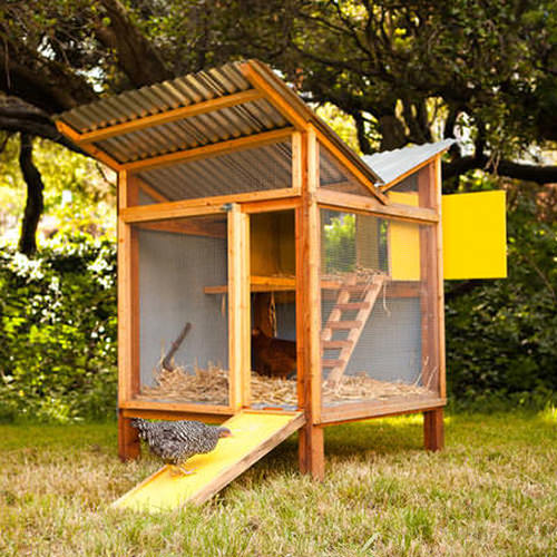 DIY Backyard Chicken Coop Plans