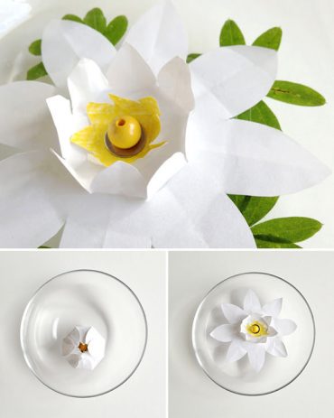 Drop this easy-to-make paper lily bud in a bowl of water and watch it slowly bloom before your eyes!