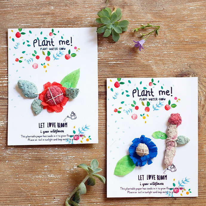 DIY Eco-friendly Plantable Seed Paper Valentines • RUN WILD MY CHILD